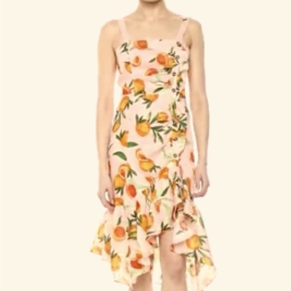 PARKER MILLIE DRESS WITH RUFFLE FRONT DETAILS AND HI-LO RUFFLED HEMLINE SIZE 4 - Picture 8 of 13